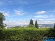 Imoveis em Alphaville