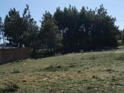 Imoveis Em Atlântida Sul Distrito