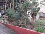 Imoveis em Campestre