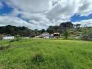 Imoveis em Campo Largo