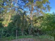 Imoveis em Chácara Pavoeiro