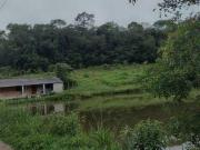 Imoveis em Feital Imoveis em Feital