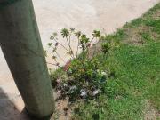 Imoveis em Guararema