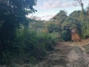 Imoveis em Moeda