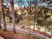 Imoveis em Monteiro Lobato