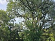 Imoveis em Nossa Senhora da Saúde