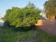 Imoveis em Nova Lima