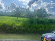 Imoveis em Ouro Fino