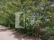 Imoveis em Polocentro I