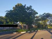 Imoveis em São José