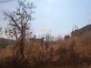 Imoveis em São José de Almeida