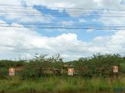 Imoveis em São Luis