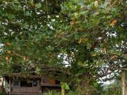 Imoveis em São Sebastião