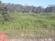 Imoveis em Shangri la