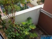 Imoveis em Sumaré