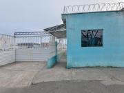 Imoveis em Tatuquara