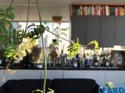 Imoveis em Vila Ipojuca