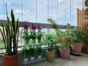 Imoveis em Vila Monte Alegre