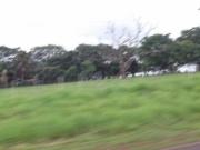 Imoveis na Aviação