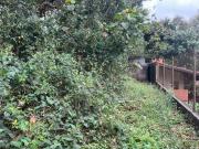 Imoveis na Chácara Moinho Velho