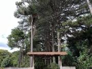 Imoveis na Cidade Jardim