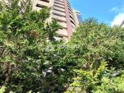 Imoveis na Estrela