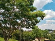 Imoveis na Granja Viana