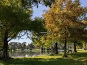 Imoveis na Laje de Pedra