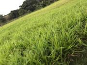 Imoveis na Vila Aeronáutica