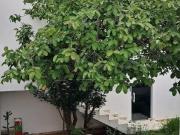 Imoveis na Vila Assis