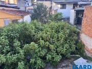 Imoveis na Vila Eldízia