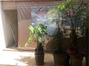 Imoveis na Vila Monumento