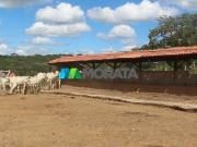Imoveis na Zona Rural