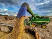 Imoveis Na Zona Rural