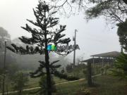 Imoveis na Zona Rural