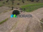 Imoveis na Zona Rural