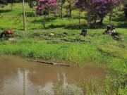 Imoveis na Zona Rural