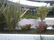 Imoveis no Alto da lapa Imoveis no Alto da lapa