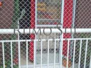 Imoveis no Campo Grande