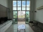 Imoveis no Jardim Anália Franco
