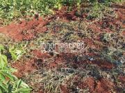 Imoveis no Jardim Barcelona