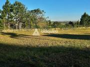 Imoveis no Jardim Carvalho