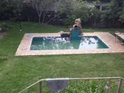 Imoveis no Jardim Colibri