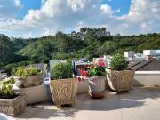 Imoveis no Jardim Colibri