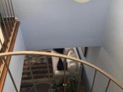 Imoveis no Jardim da Saúde