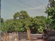 Imoveis no Jardim Guanabara