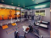 Imoveis no Jardim Modelo