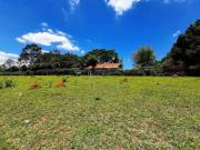 Imoveis no Jardim Nova América