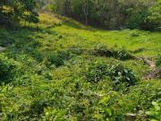 Imoveis no Jardim Nova Cotia Imoveis no Jardim Nova Cotia