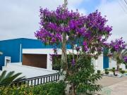 Imoveis no Jardim Nova Esperança